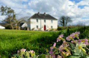 Airbnb in Kilkenny