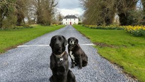 scenic drives in kilkenny