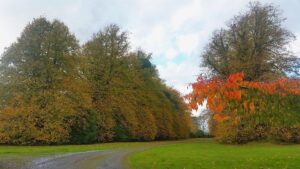 autumn self catering breaks